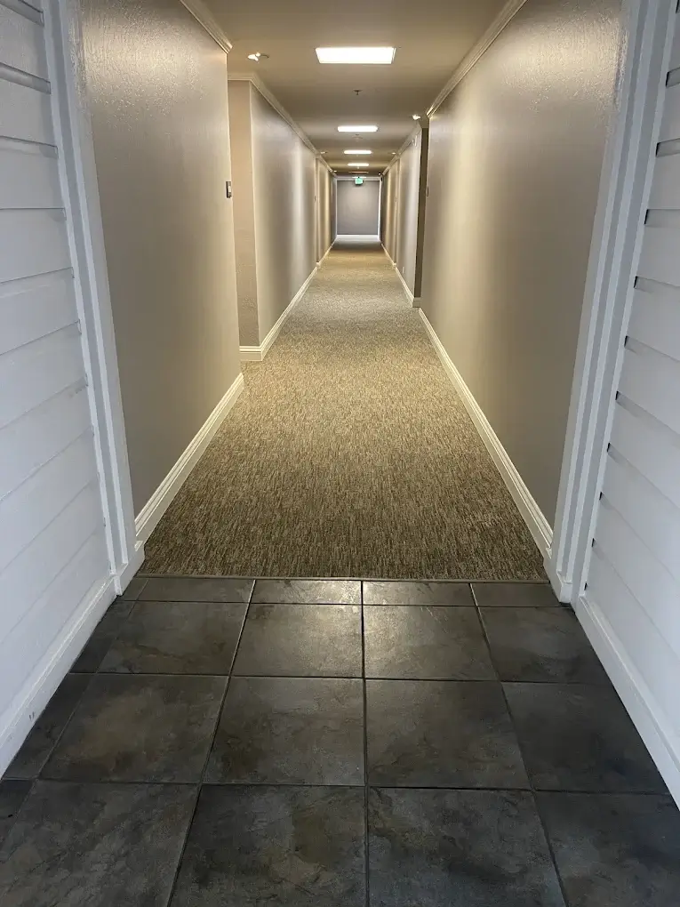 Beautiful image of a carpeted hallway in a hotel with clean carpet all the way down the hall with nice lighting from the ceiling