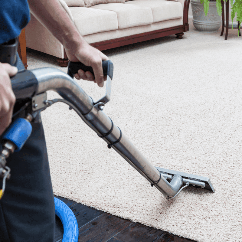 Worker using a commercial steam cleaning wand on a large area rug that almost looks like a carpet