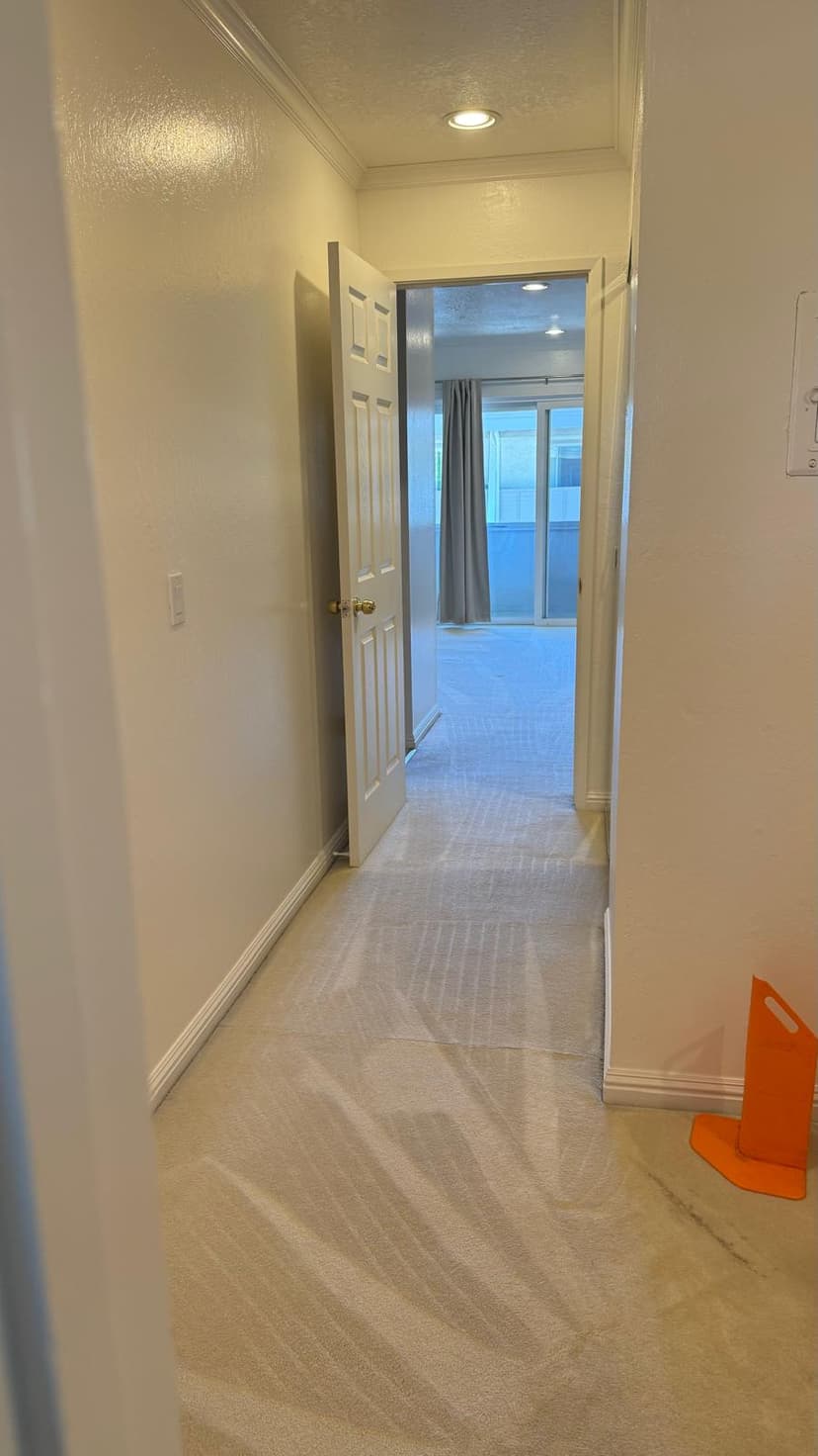 Apartment hallway and room entrance carpet after cleaning
