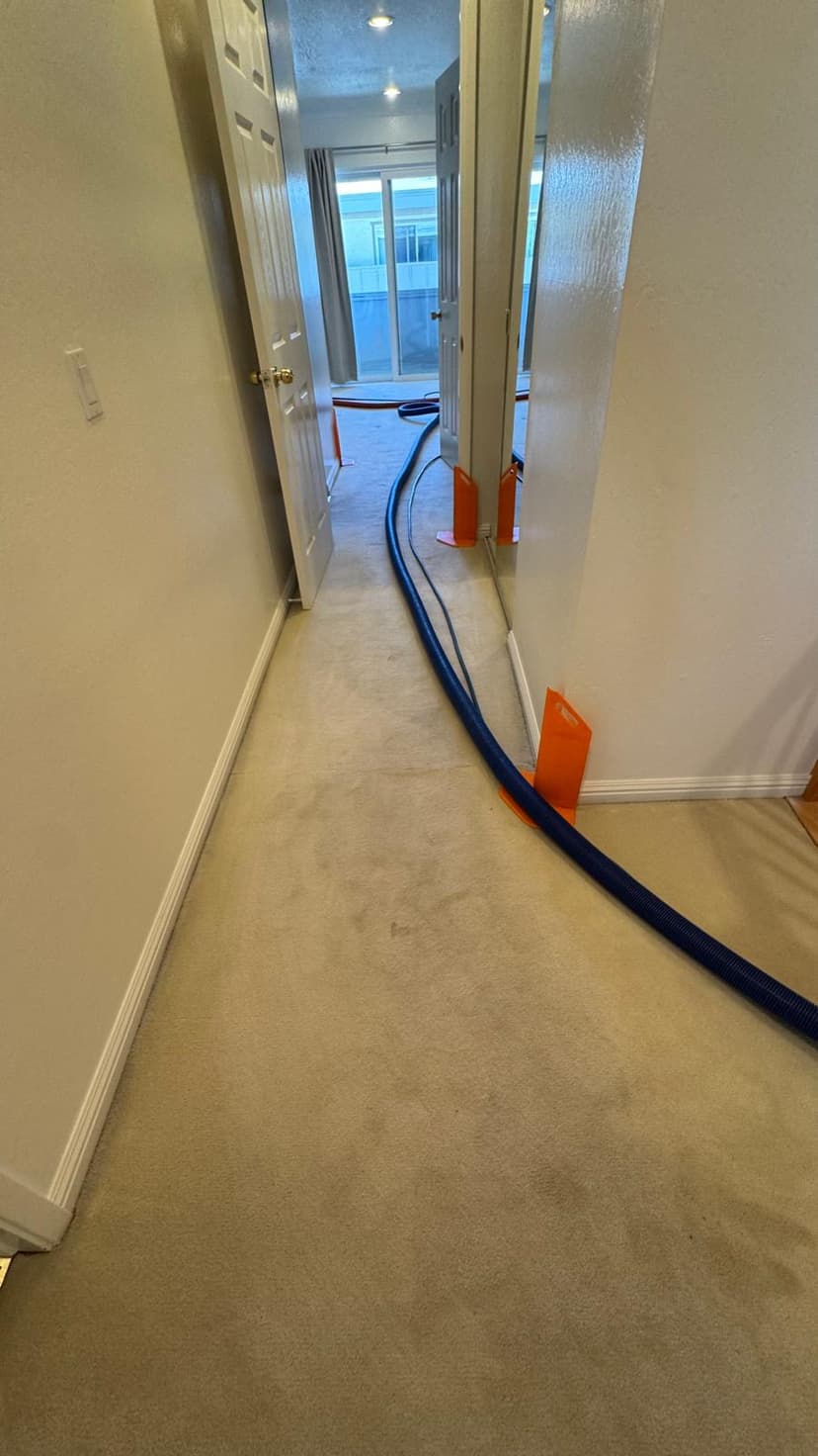 Apartment hallway and room entrance carpet before cleaning
