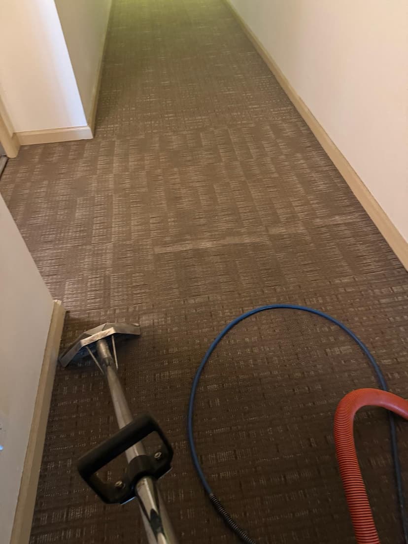 Image of carpeted apartment or hotel hallway after carpet cleaning and maintenance
