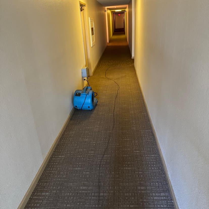 Image of carpeted apartment or hotel hallway before carpet cleaning and maintenance