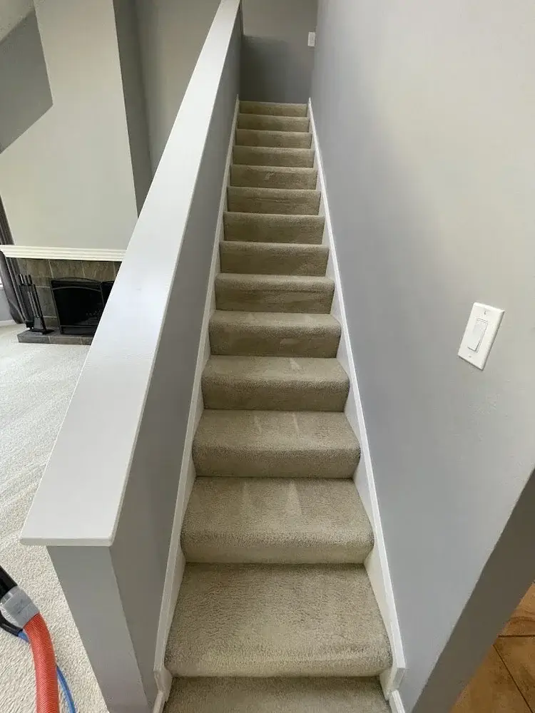 Freshly professionally cleaned residential stairway and living room carpet in a San Mateo Peninsula home showing bright restored fibers after hot water extraction