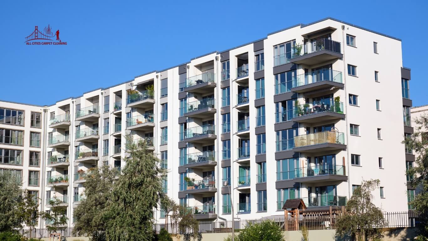 Professional carpet cleaning service in Mountain View - steam cleaning in progress