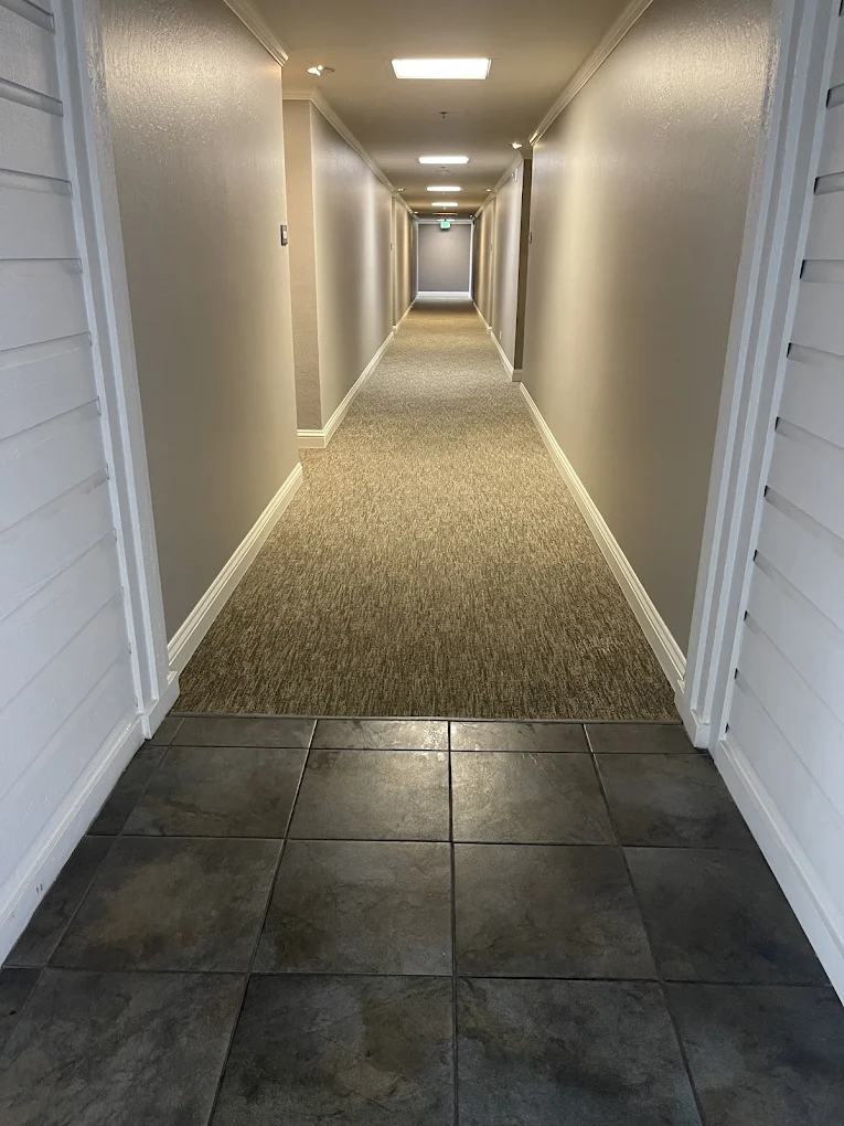 Dull, dirty bedroom carpet before professional cleaning